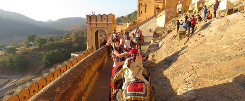 royal support service